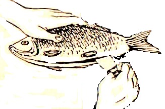 как разделать  рыбу  в дом усл  (3)