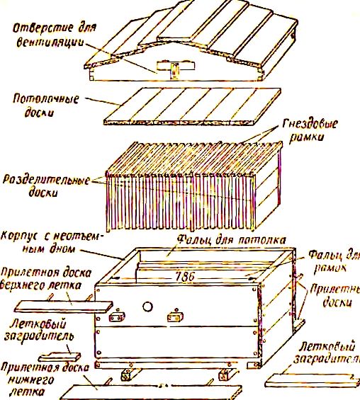 Строение улья для пчел схема