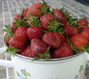 1клубника ягоды (3)