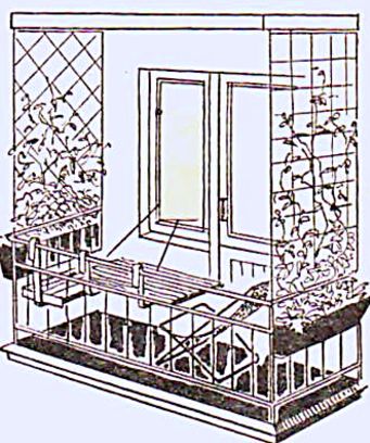 озеленение балконов11 (1)