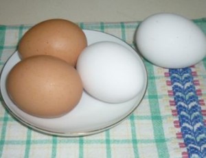 яйца 1