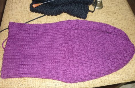 моя фиолетовая шапка (3)
