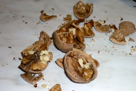 лечебные ореха (1)