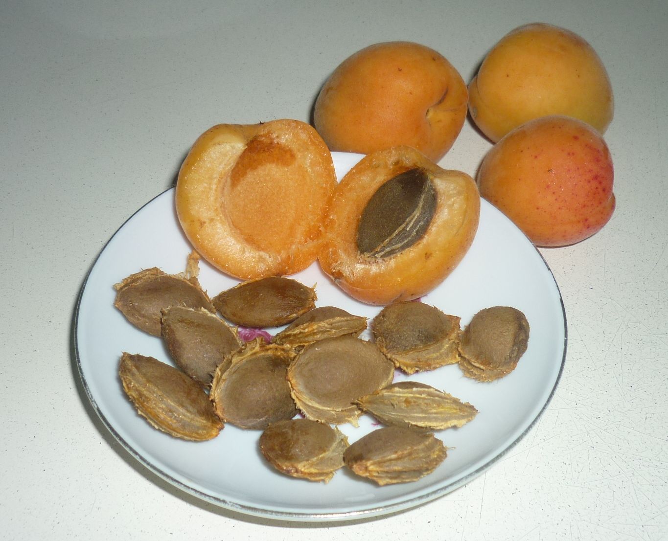 абрикосы плоды и косточки6